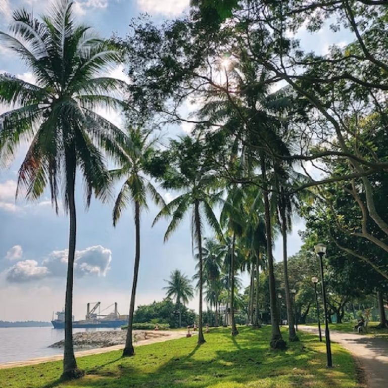 Pasir Ris Park (Beach) - All You Must Know About It